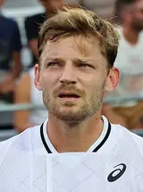 Foto de David Goffin